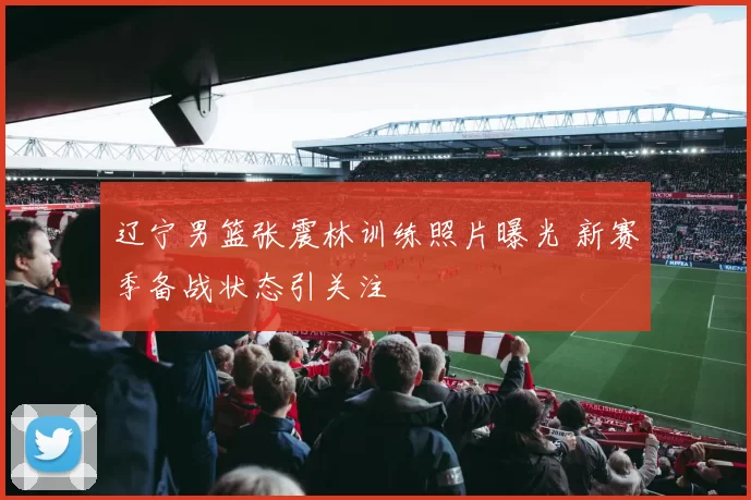 辽宁男篮张震林训练照片曝光 新赛季备战状态引关注