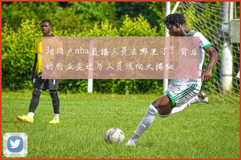 3g门户nba直播人员去哪里了?背后的行业变迁与人员流向大揭秘