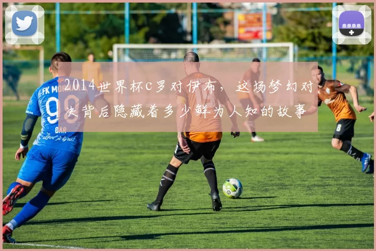 2014世界杯c罗对伊布,这场梦幻对决背后隐藏着多少鲜为人知的故事?