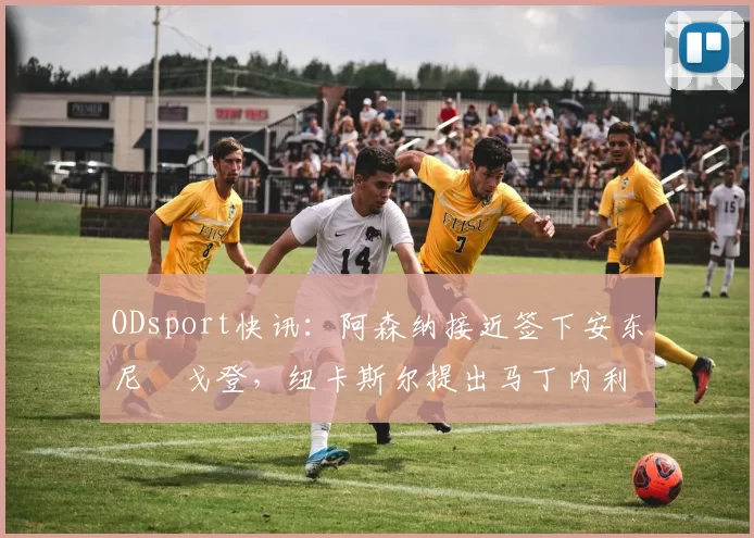 ODsport快讯：阿森纳接近签下安东尼・戈登，纽卡斯尔提出马丁内利交换条件_交易_球员_谈判