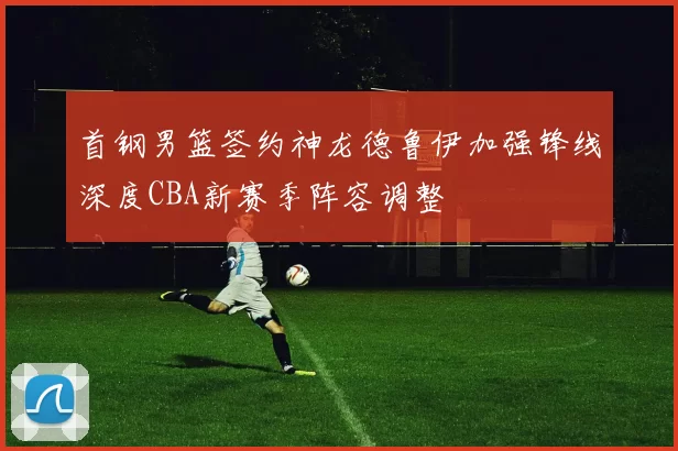 首钢男篮签约神龙德鲁伊加强锋线深度CBA新赛季阵容调整