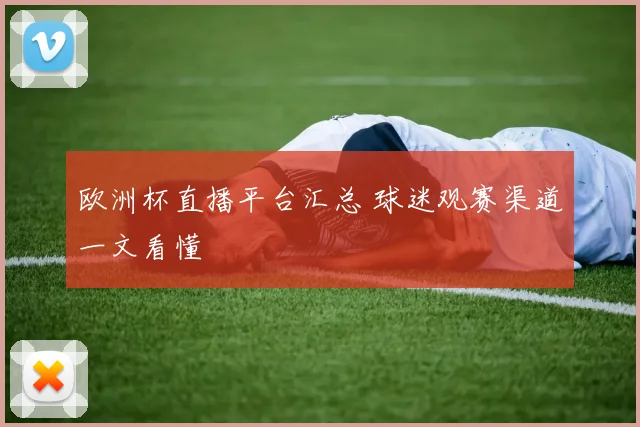 欧洲杯直播平台汇总 球迷观赛渠道一文看懂