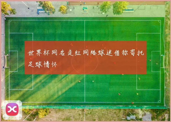 世界杯网名走红网络球迷借称寄托足球情怀