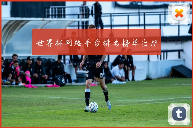 世界杯网络平台排名榜单出炉