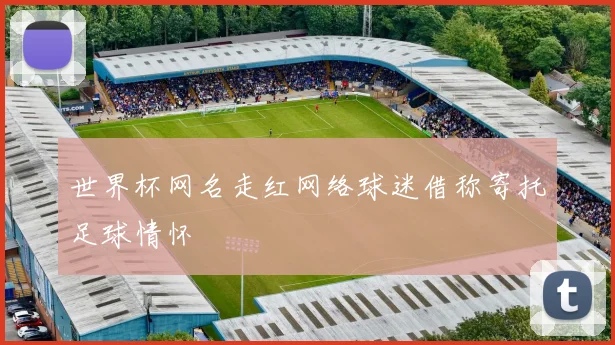 世界杯网名走红网络球迷借称寄托足球情怀